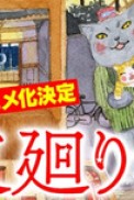 Постер к аниме Ночной кот