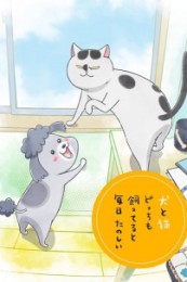 Постер к аниме Весёлые дни с кошкой и собакой