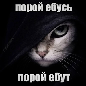 ZXCGandonchik