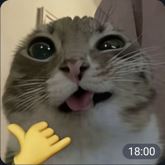 kallertbnm