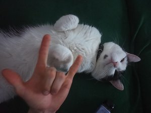 Astroooxi