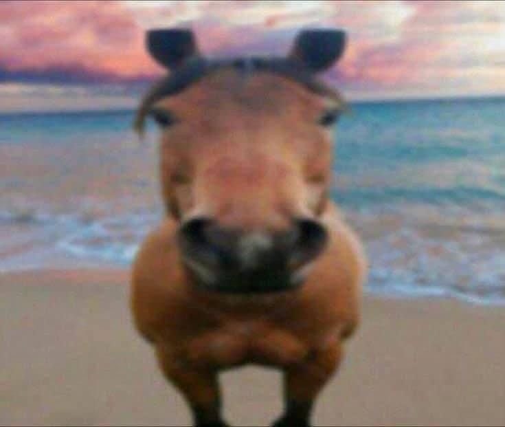 AnimePizdobol