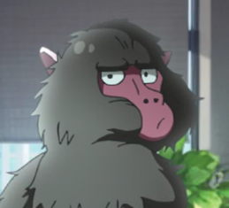 monkey_1