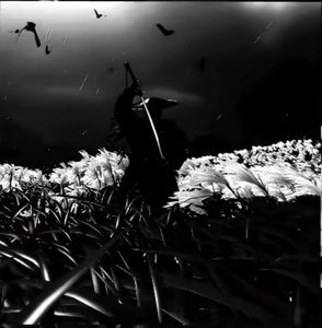 nothingwishing
