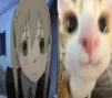 kroshka