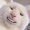 DigBig