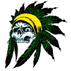 xSHAMANx