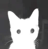 Maximsrs