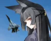 Flanker