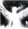 Angel333
