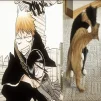 nisinoyaa
