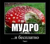 Kaktysinyo