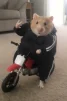daduuka