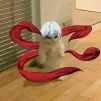 MerKiss