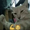 Vlad_jow
