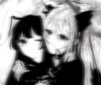 Niko_nii01