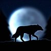 Noar_010