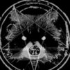 RaccooNRolla