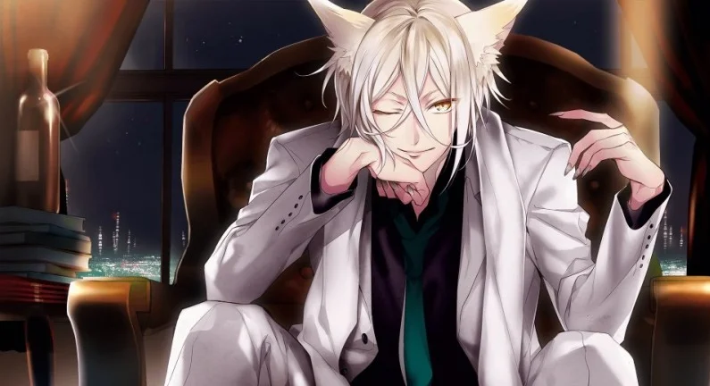 Аниме бисёнэны Аниме бисёнэны