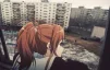 Vladix_
