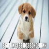 InfjCurse