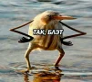 jngxy