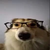 Arw1N