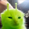 rrrsugoi