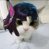 Titlle