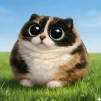 X_ses