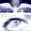 AnimeMonster