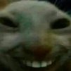 DERZOSTE