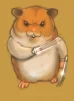 Homiki