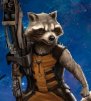 Raccoonen
