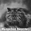 Burbon