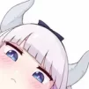 DrZeroS