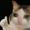 CLEM1