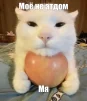 zaharikun