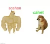 CAHET