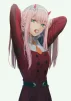 Ne_Animeshnik