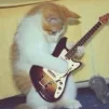 kaktus(-_-)