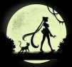 Kitty_dreamer