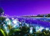 magnolija