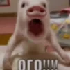 JIRNIY_PENIS1488