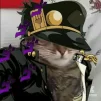 AltoRulz
