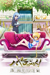 Постер к аниме Боевой дворецкий Хаятэ: Не могу оторвать от вас глаз!