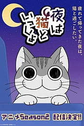 Постер к аниме Вечера с кошкой 2