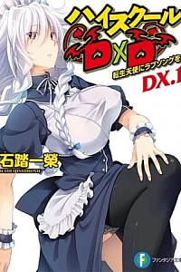 Постер к аниме Старшая школа DxD New OVA