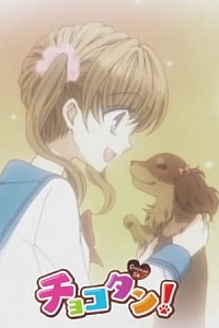 Постер к аниме Чокотан!