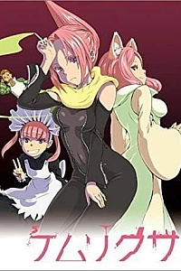 Постер к аниме Дымная трава ONA